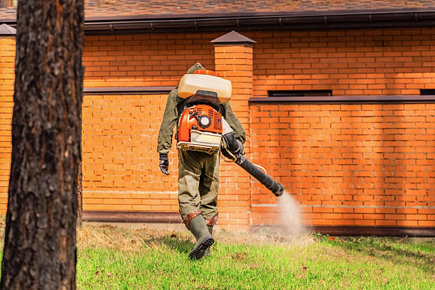 Trusted Ant Control service in Miami Lakes, FL - Nex Pest Control